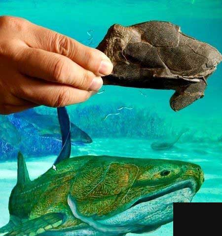 قدیمی ترین موجود روی کره زمین (عکس)