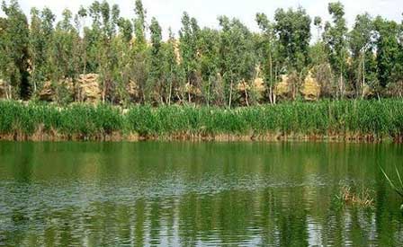 عکس های تماشایی از تالاب كیاكلایه