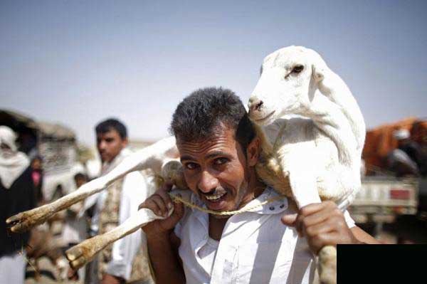 تصاویری از قربانیان روز عید قربان
