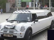 مینی ماینر متفاوت و زیبا (عکس)