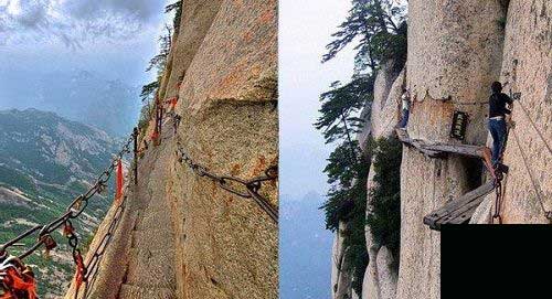 اگر دلشو ندارید نگاه نکنید،آخر وحشت