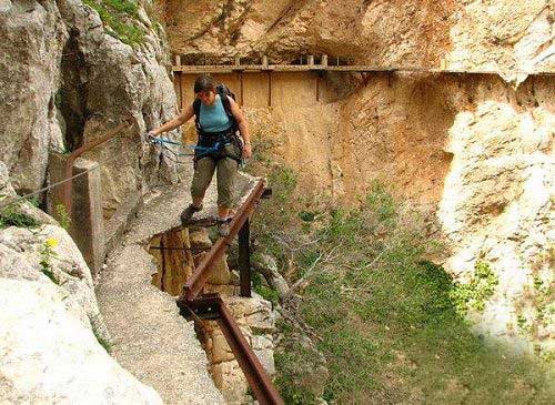 اگر دلشو ندارید نگاه نکنید،آخر وحشت