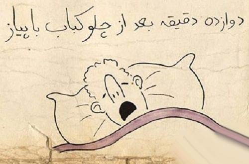 عکس عجیب یک مرد بعد از خوردن کباب