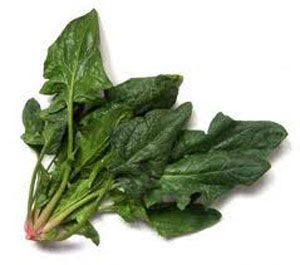 لاغری آسان و معجزه آسا