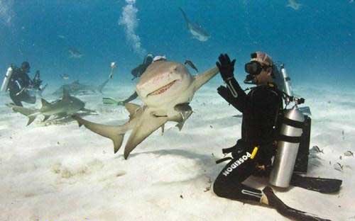 عکس نوشته های بسیار خنده دار و طنز