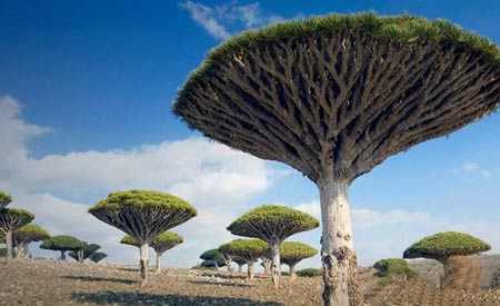 مخوف ترین جزایر دنیا +عکس
