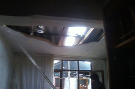 فرود عجیب یک گاو از سقف بر روی تختخواب!! +(عکس)