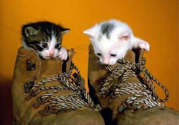عکسهای خفن و خنده دار سری اول