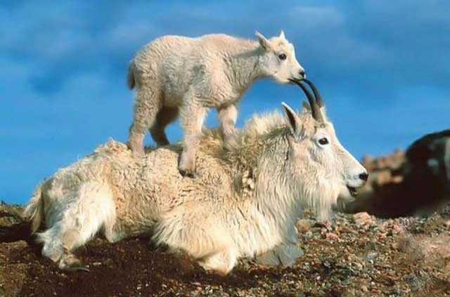 عکسهای خفن و خنده دار سری اول