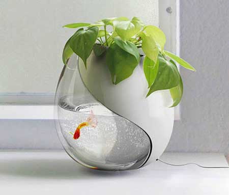 مدل تنگ ماهی - برای عید نوروز