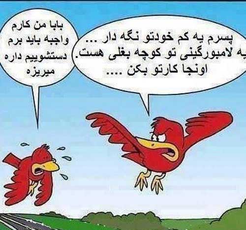 عکسهای خنده دار از نوشته های طنز گونه (74)
