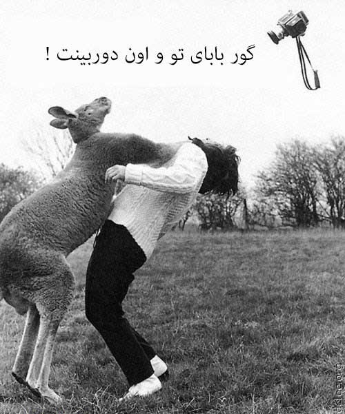 تصاویر خنده دار از گوشه کنار جهان (75)