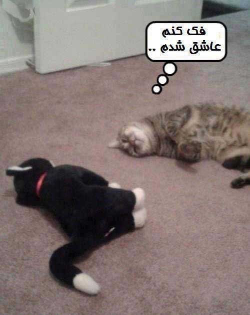 عکس های طنز از نوشته های بسیار خنده دار (76)