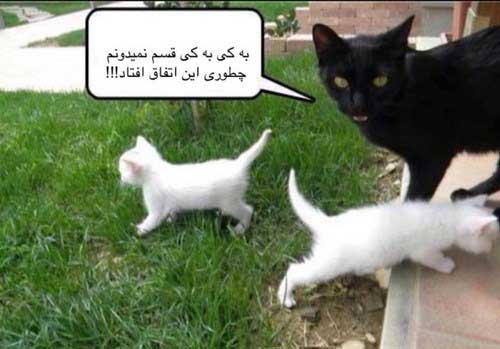 عکس نوشته های طنز و خنده دار (79)