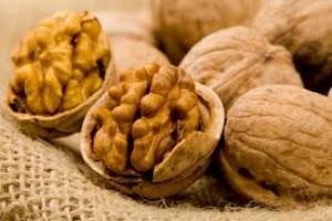 خاصیت بسیار مفید گردو برای مردان نابارور