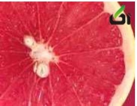 آشپزخانه‌ شما داروخانه‌ شماست پس بخوانید!!
