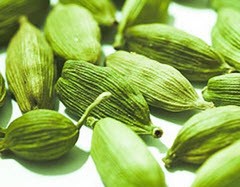 خواص هل چیست؟؟؟
