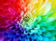 رنگهای پنهان از چشمان