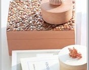 با صدف جای جواهرات بسازیم