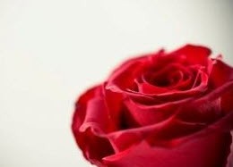 بررسی روابط جنسی از نظر اسلام