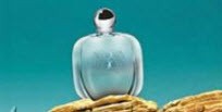 عطر مناسب روزهای سرد زمستانی