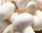 ذاستان قارچ و ویتامین D