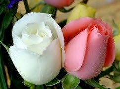 خصوصیات و نشانه های  ظاهری امام عصر (عج)