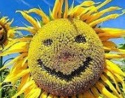 متن ادبی زیبای هر وقت بخواهی عید است