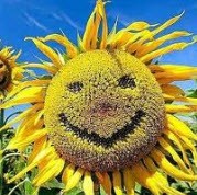 متن ادبی زیبای هر وقت بخواهی عید است