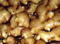 زنجبیل داروی گیاهی ضد سرماخوردگی