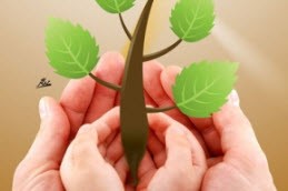 چیزهای کوچک در زندگی که مهم هستند