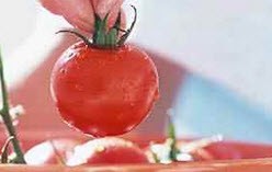 نحوه نگهداری سبزیجات درمقابل حفظ مواد معدنی اش