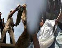 سخن قبر با مرده