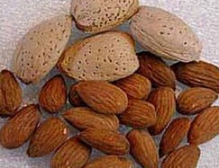 رابطه بادام تلخ و سرماخوردگی