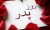 پیامک خنده دار روز پدر (15)