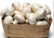 کسانی که رژیم هستند قارچ را فراموش نکنند