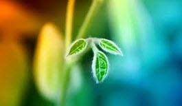 اشتباهات به ظاهر کوچک