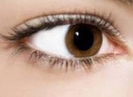 آیا از ریزش مژه‌ها و کم ‌پشت شدن آنها شاکی هستید؟