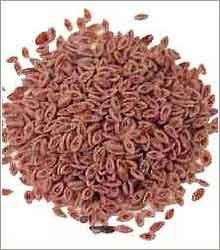 خواص دارویی اسفرزه