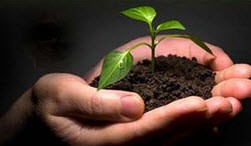 به چه مقدار زمان برای ترک اعتیاد احتیاج داریم
