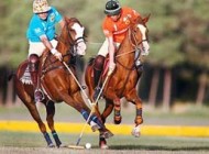 تاریخچه و قوانین  چوگان