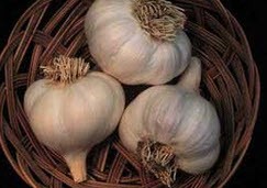خوراکی هایی جهت بو زدایی سیر