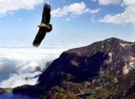 ضرب المثل شنیدنی صبر کنید تا من تفی به دستم بکنم