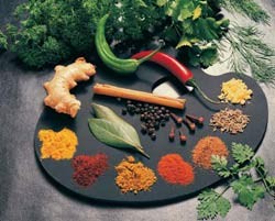 گیاهان دارویی مخصوص بیماری ها