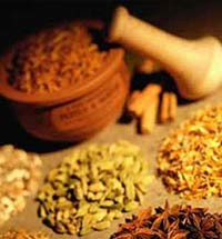گیاهان دارویی دارای انرژی