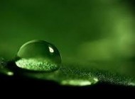 دیدگاه جالب قران کریم در مورد قطره های آب