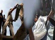 حکایت قبر و سخن آن