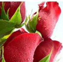 خوش سیمایی با این ذکر جادویی