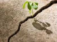 شکری فوق العاده شیرین برای زندگی