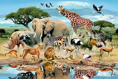دانستنی های عجیب در مورد حیوانات